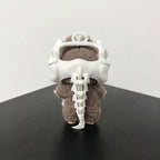 Evil Little Dinosaur Accessory Headgear – Suitable for Labubu